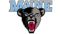 Maine-Black-Bears