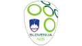 Slovenia-National-Football-Team